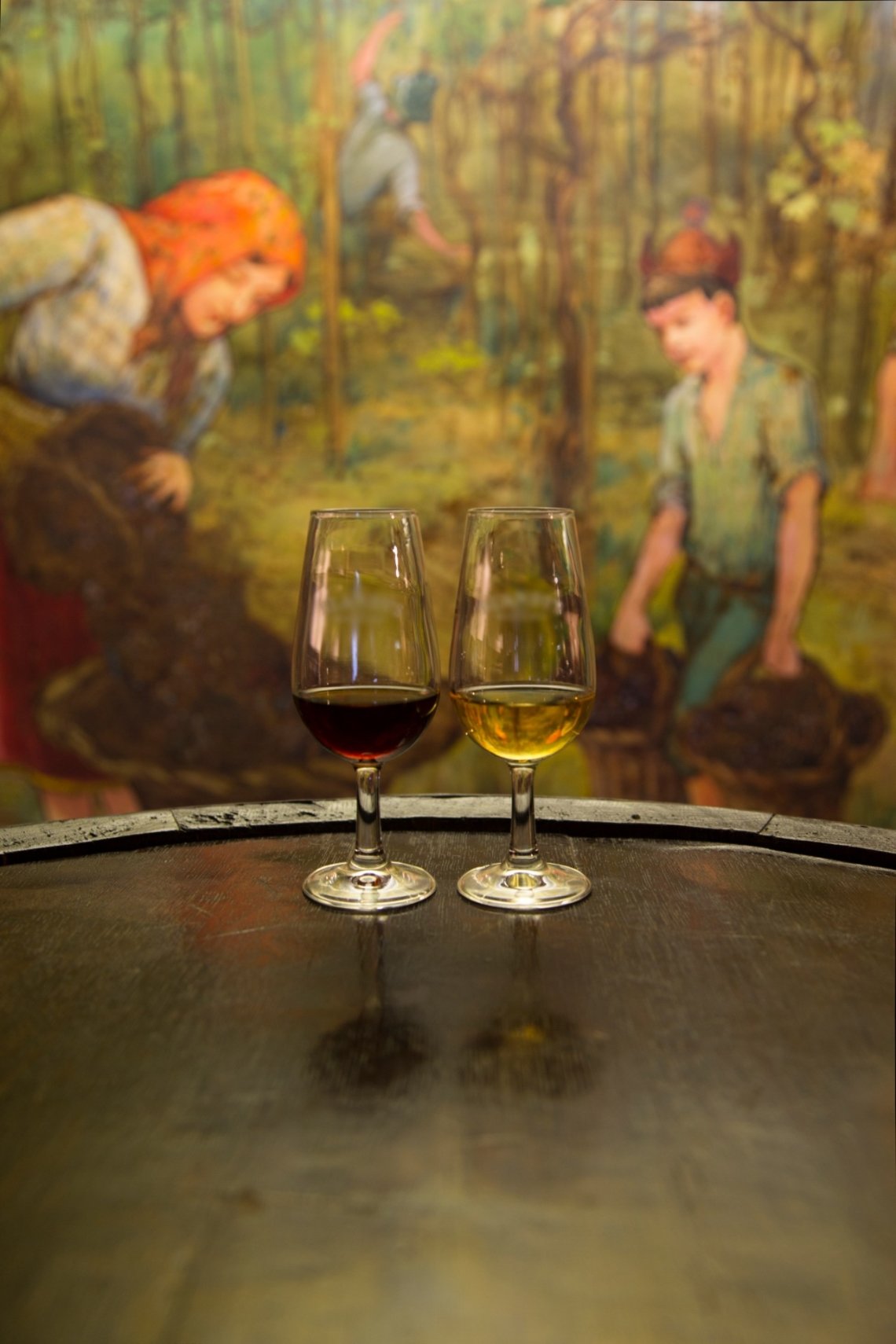 madeira-an-island-for-wine-lovers-portugal