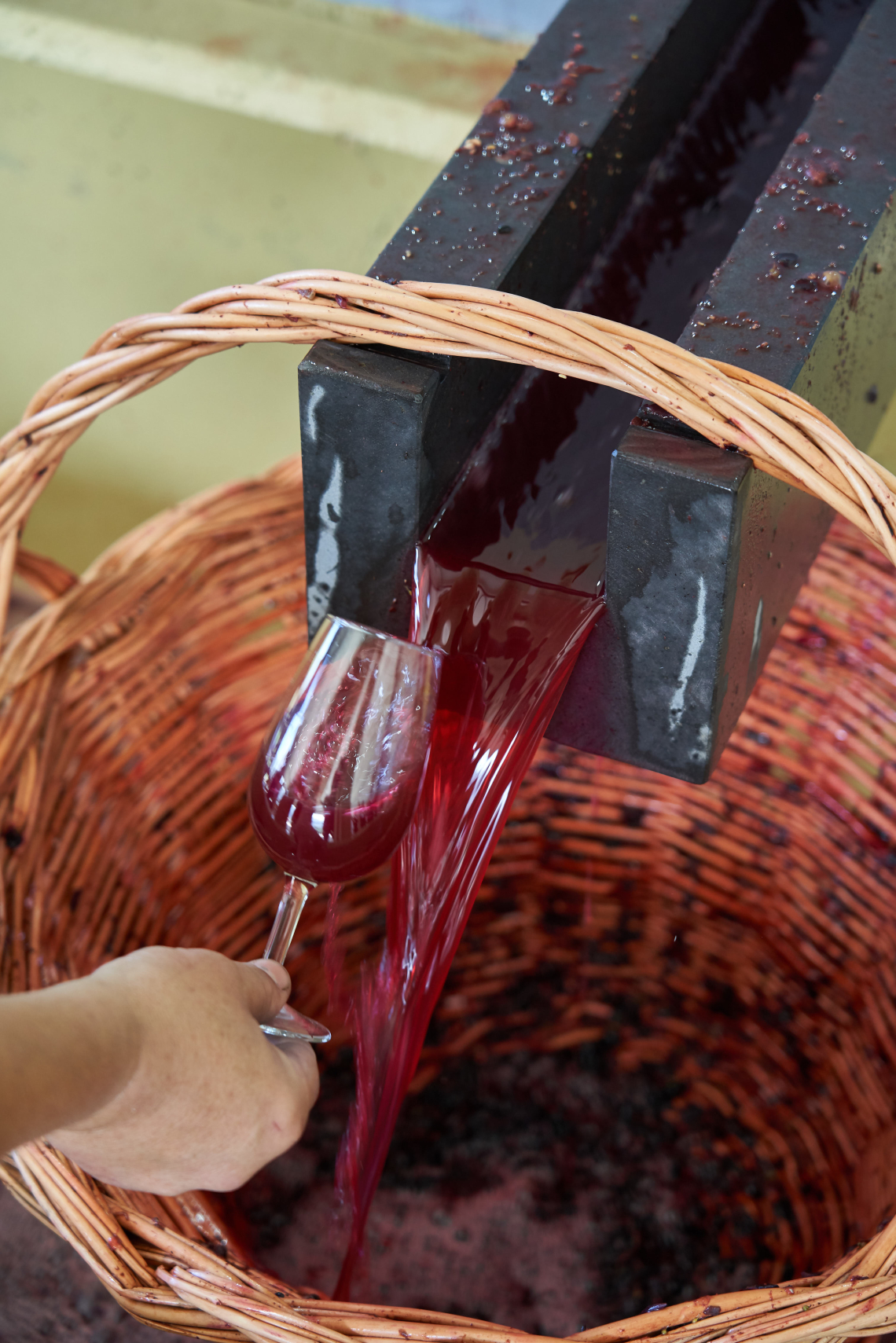 madeira-wine-festival-portugal-europe