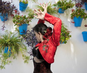Flamenco Dancer, Spain flamenco-dancer-spain-madrid
