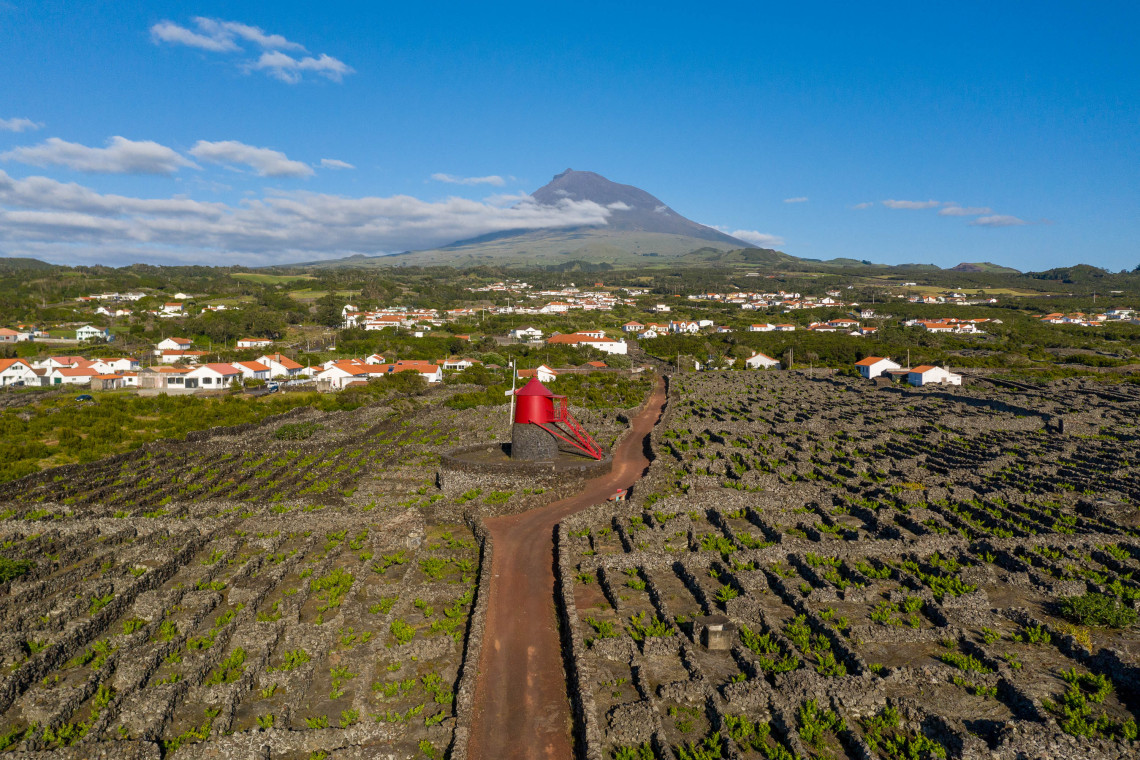 Vinhas da Criação Velha in Pico Island, Azores