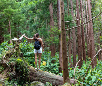 Hiking Trails in Flores Island, Azores