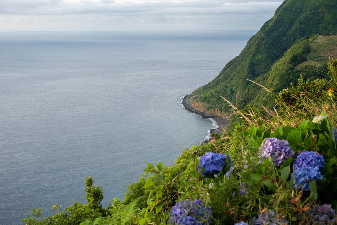 Ponta da Madrugada Viewpoint – Best Sunrise Spot in São Miguel with Ocean Views and Hydrangeas Coastal cliffs and blooming hydrangeas at Ponta da Madrugada Viewpoint in Nordeste, São Miguel Island, with panoramic views over the Atlantic Ocean.