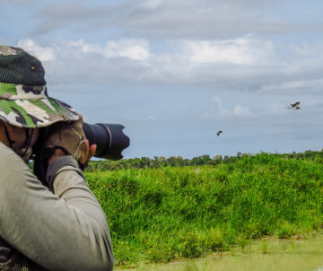 birdwatching-bird-watching-corvo-forest-hiking-trail-azores-islands-archipelago-travel-deals-experience