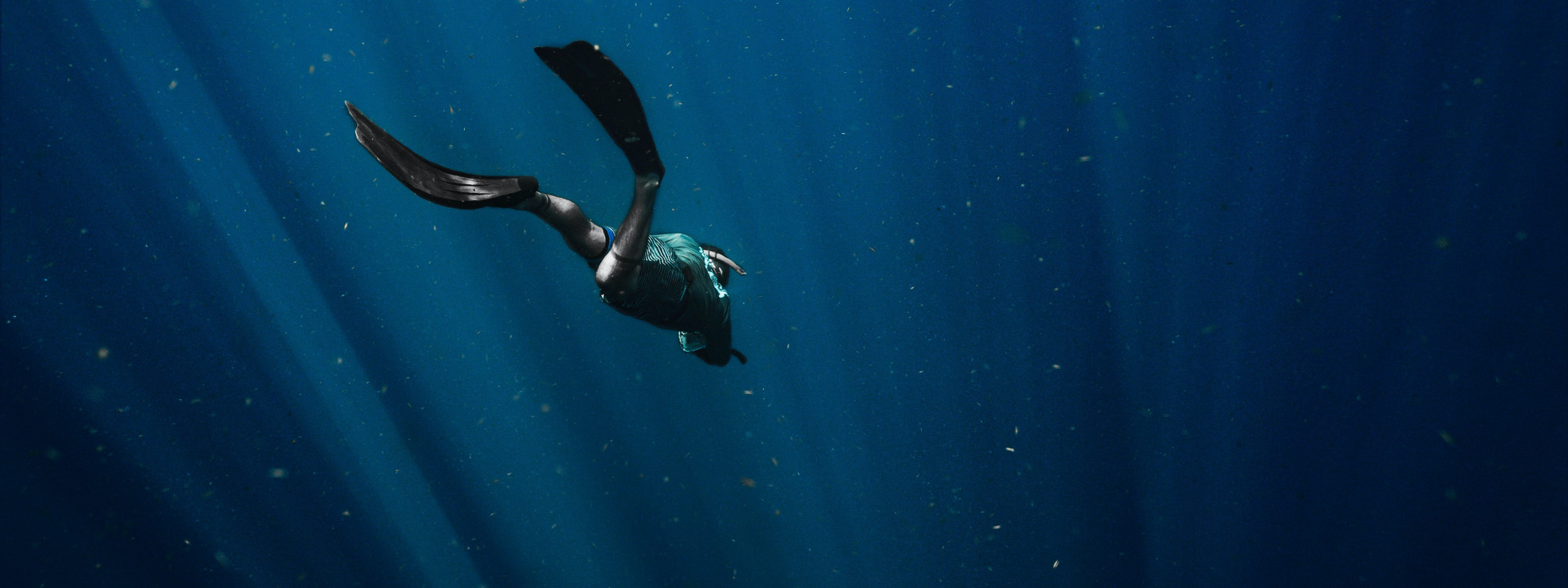 Diving in the Azores: Santa Maria Island diving-scuba-azores-archipelago-islands-island-destination-portugal-europe