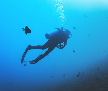 diving-scuba-azores-archipelago-islands-island-destination-portugal-europe