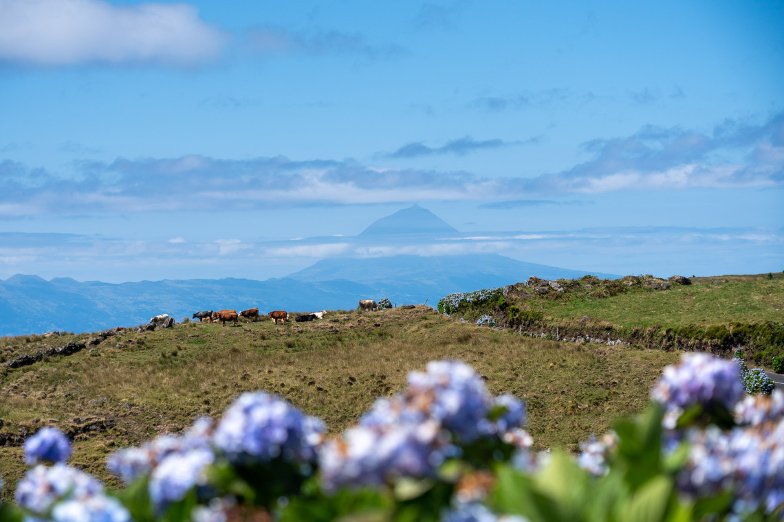 Pico Island View from São Jorge Island, Azores Pico Island View from São Jorge Island, Azores