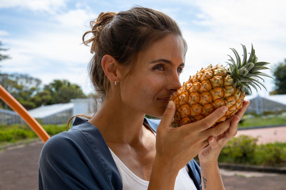 Pineapple is an exotic fruit produced in the Azores
