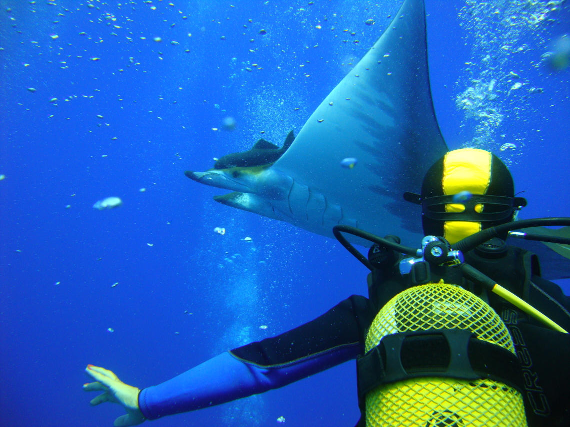 scuba-diving-azores-islands-portugal-europe
