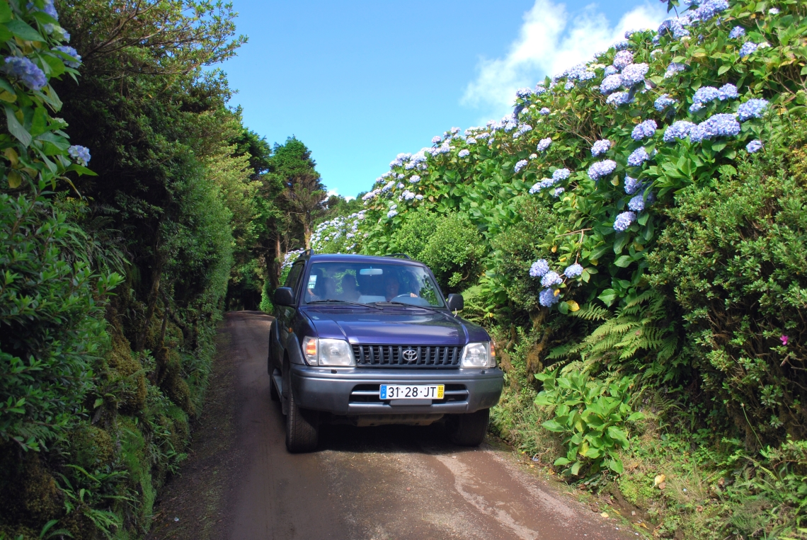 Passeios Guiados pelos Açores, Portugal