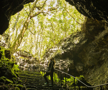 A visitor climbs stone steps toward the forested opening of Gruta das Torres in Madalena, Pico Island, Azores. Moss-covered volcanic rock and dense vegetation surround the entrance to the lava tube.