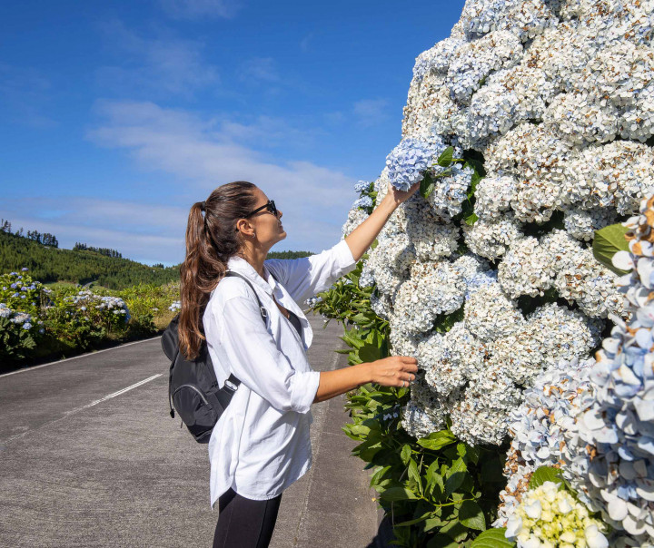 Azores Travel Guide The Best Azores Travel Tips For Your Azores Vacations Azores Travel Guide The Best Azores Travel Tips For Your Azores Vacations
