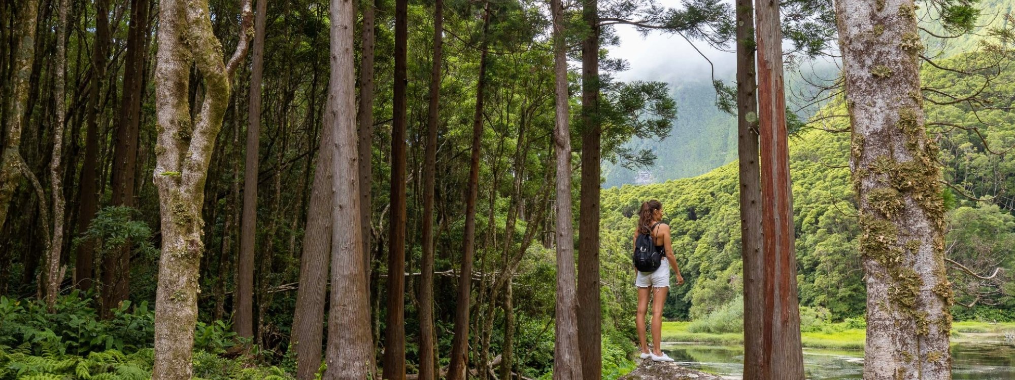 Plan Your Azores Hiking Adventure poço-da-ribeira-do-ferreiro-flores-island-landscape-waterfalls-waterfall-mountain-landscape-portugal
