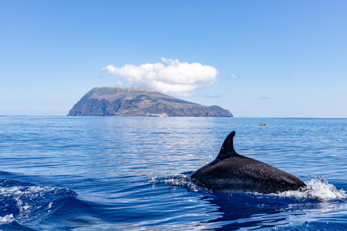 Viagem de Barco entre as Flores e Corvo Viagem de Barco entre as Flores e Corvo