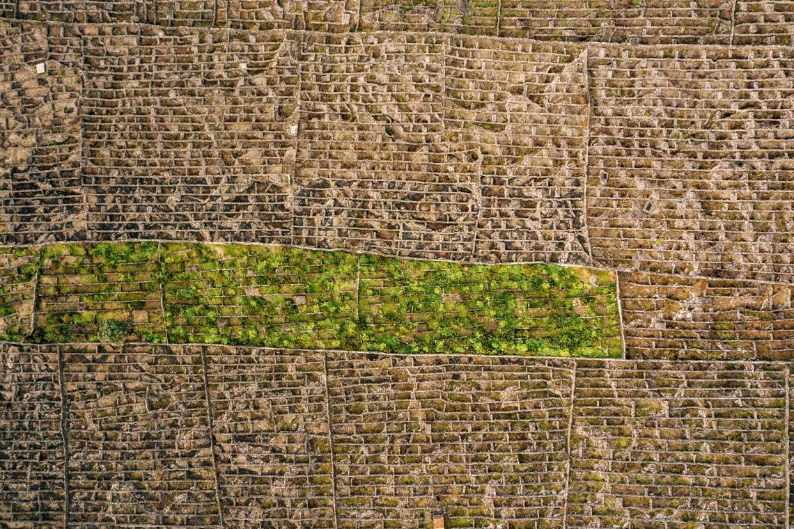 Paisagens dos Açores: Vinhas da Criação Velha, Ilha do Pico, Açores As vinhas da Criação Velha na Ilha do Pico nos Açores são um exemplo da cultura tradicional da vinha nesta ilha dos Açores.
