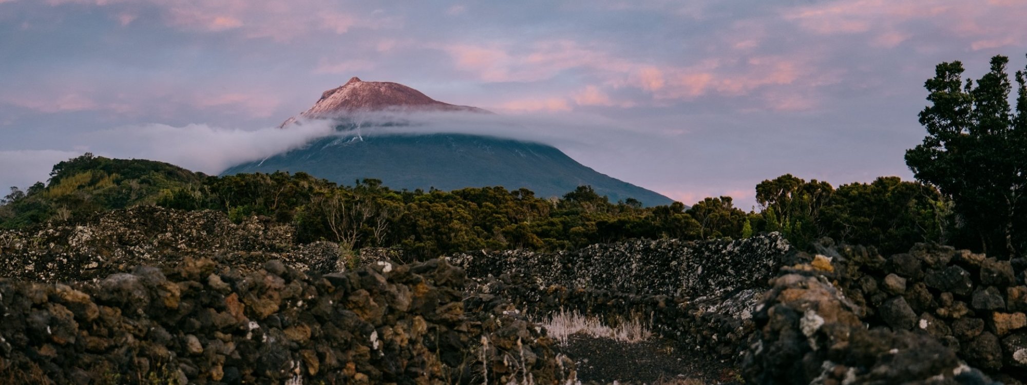 Czar Wine in Pico Island, Azores Get to know the story of the Czar wine produced in Pico Island in the Azores,