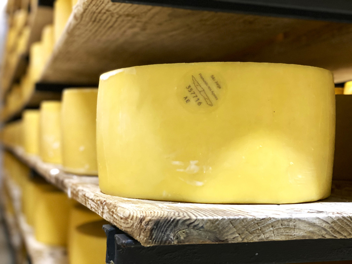 Famous São Jorge Island Cheese são-jorge-cheese-azores-islands-dairy-island-nature