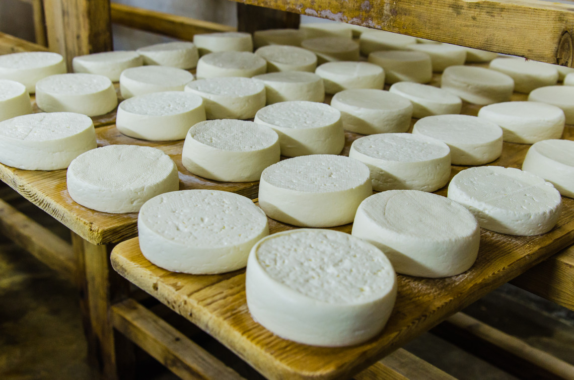 Goat Cheese of São Jorge Island, Azores goat-cheese-dairy-são-jorge-island-azores