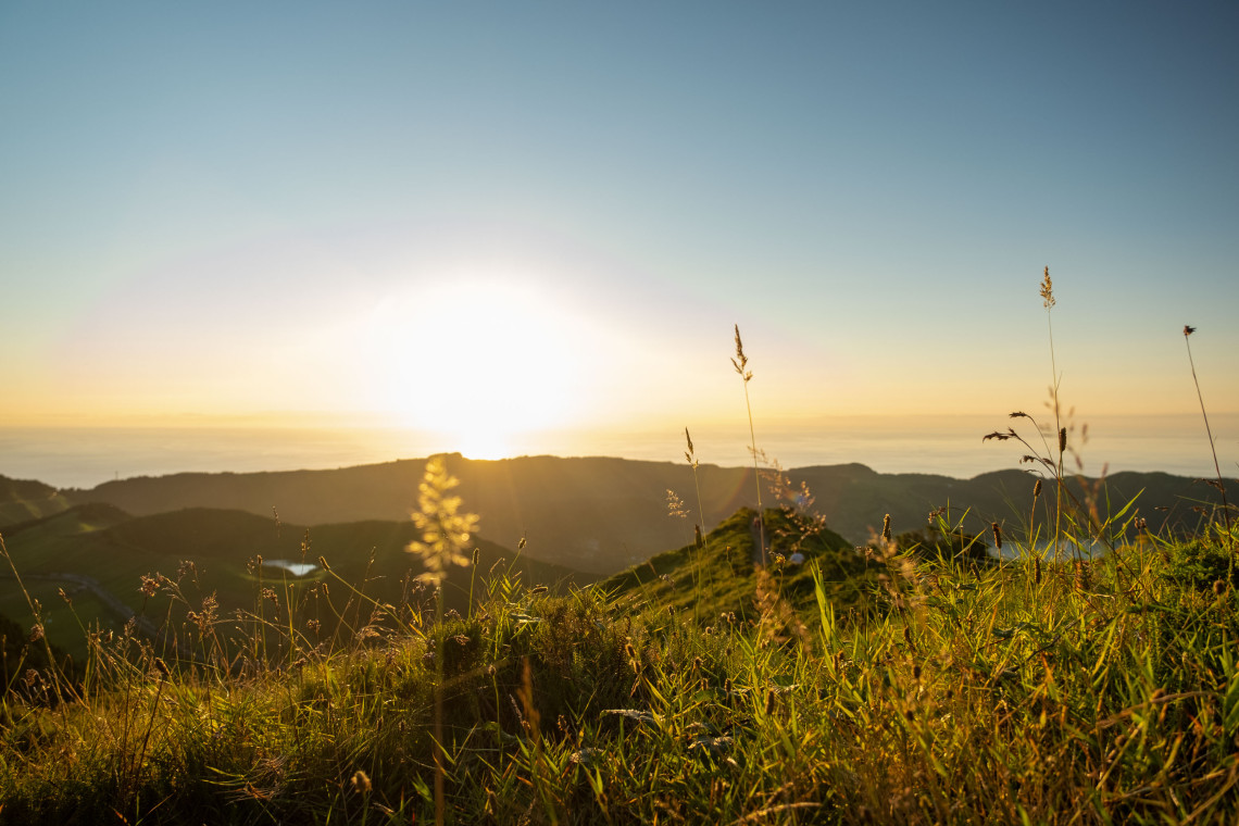 Golden sunrise over the green hills of São Miguel Island in the Azores, with tall grass in the foreground and the Atlantic Ocean in the distance.