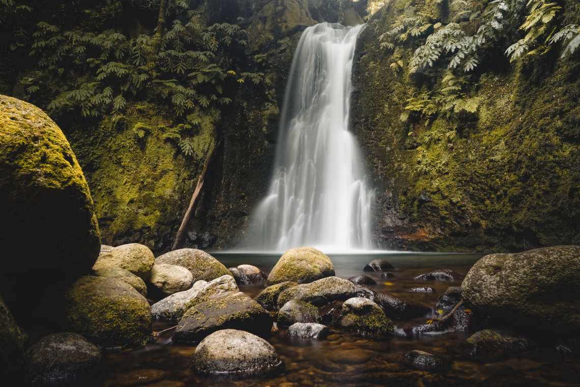 This gorgeous waterfall along the Salto do Prego hiking trail on São Miguel Island always gives us serious jungle vibes.