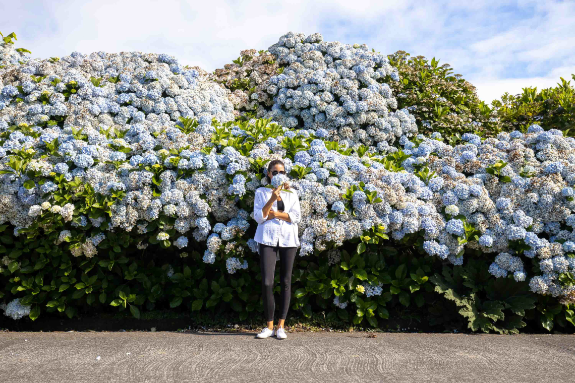 While descending from the above viewpoints into the village of Sete Cidades you’ll come across the Azores most famous hydrangea-covered road