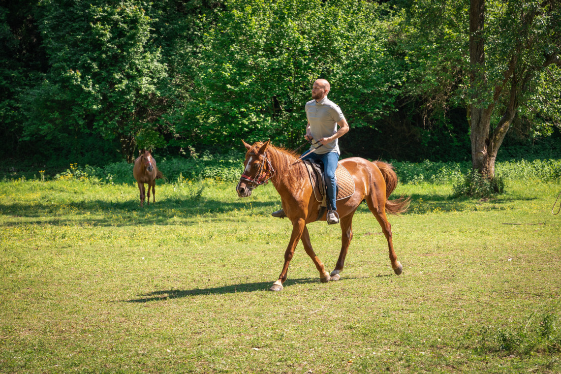 Horseback Riding in São Miguel Island, Azores