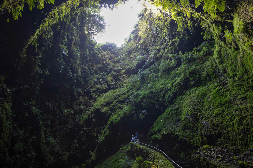 Visitors exploring the lush green interior of Algar do Carvão, a volcanic cave on Terceira Island, Azores