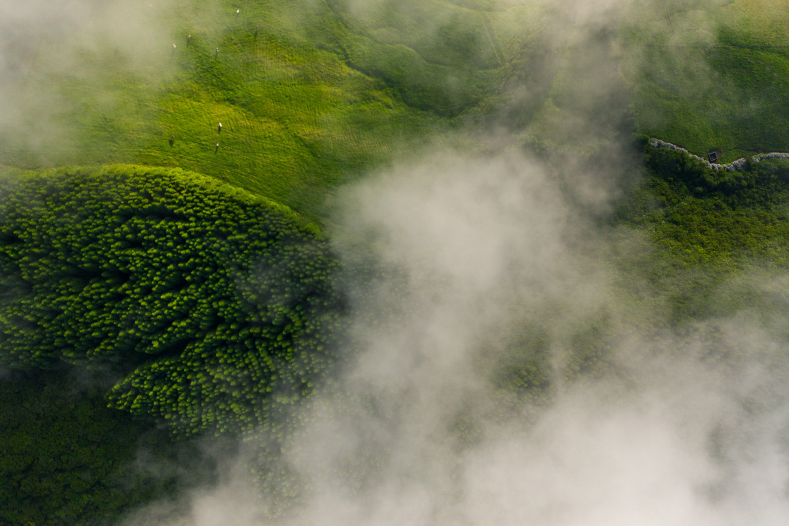 Aerial view of lush green forest and fields partially covered by low-lying clouds on Terceira Island, Azores