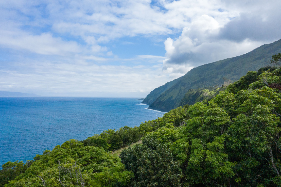 São Jorge: Entre o mar e a montanha, no coração dos Açores