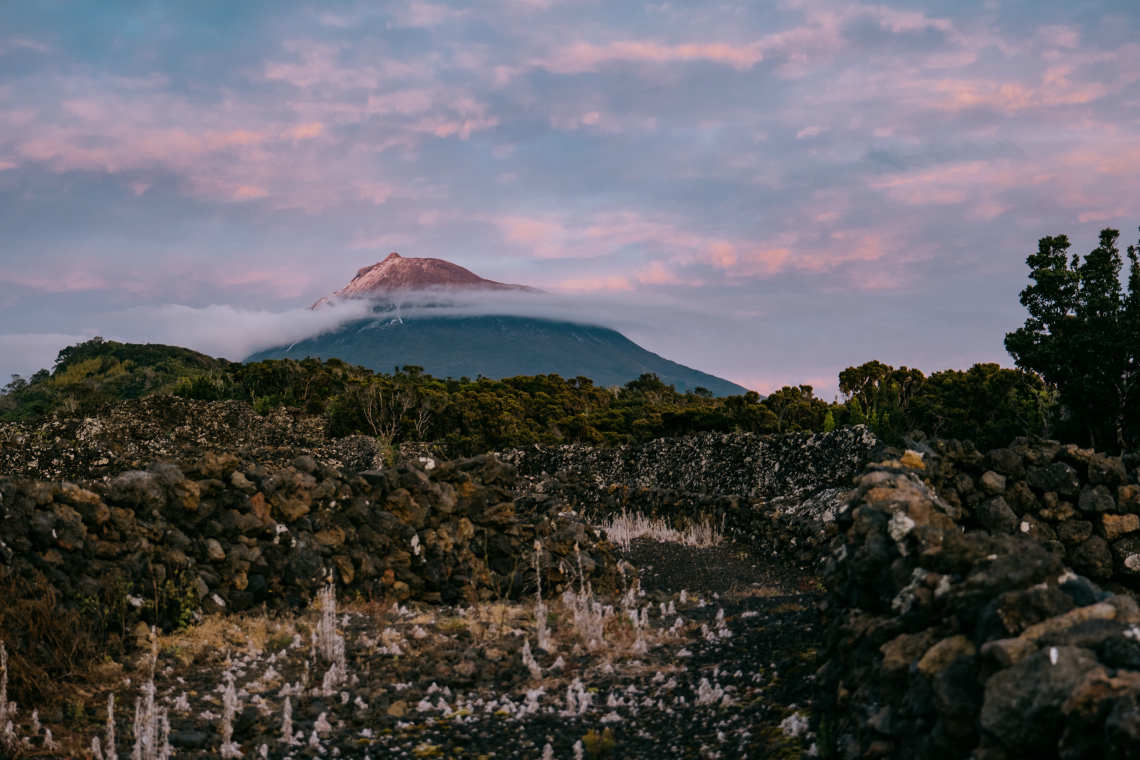 Pico vineyards in Pico Island, Azores are a UNESCO World Heritage Site pico-vineyards-vineyard-island-azores-unesco-world-heritage-site-archipelago-portugal