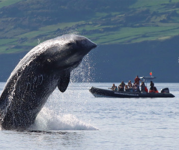 Fundação Ocean Azores