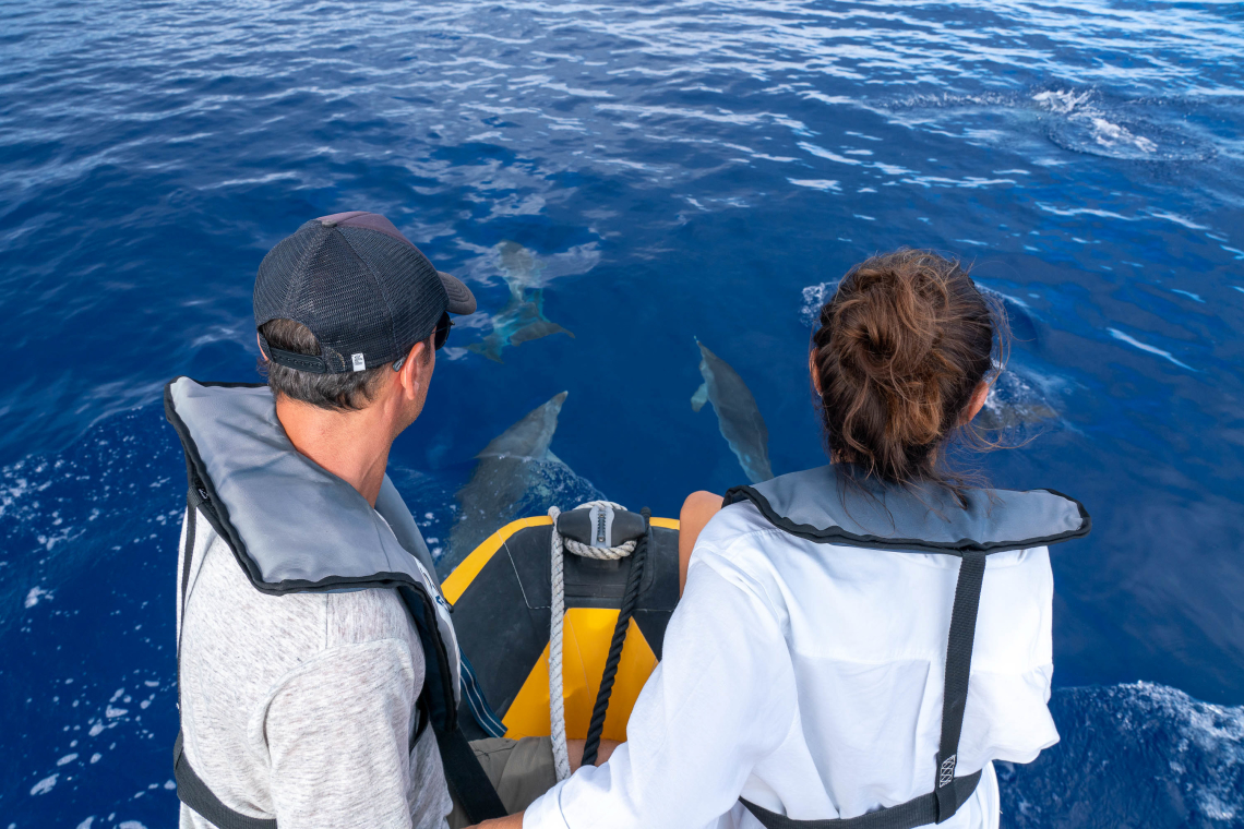 Comportamentos baleia-amigáveis adotados pelos operadores de observação de cetáceos dos Açores Eis o que os operadores de whale watching dos Açores fazem para proteger as baleias e golfinhos avistados durante uma tour.