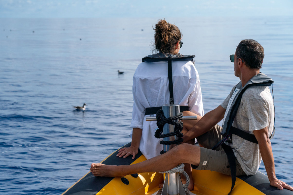 A experiência de observação de cetáceos nos Açores Este artigo da Azores Getaways conta tudo o que é preciso saber sobre a experiencia de observaçao de cetáceos nos Açores, desde as espécies a avistar às recomendaçoes.