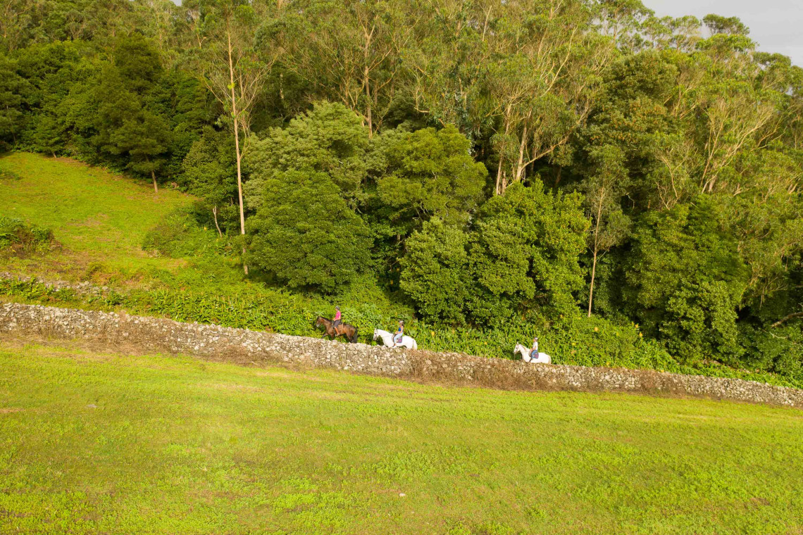 Horseback Ridding in Terceira Island Azores