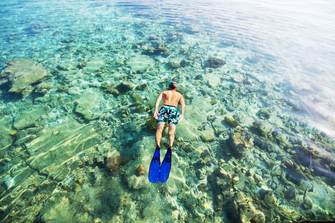 Try Scuba Diving in The Algarve's Waters scuba-diving-scubadiving-ocean-beach-salema-experience-activity-sport-algarve-region-europe-portugal
