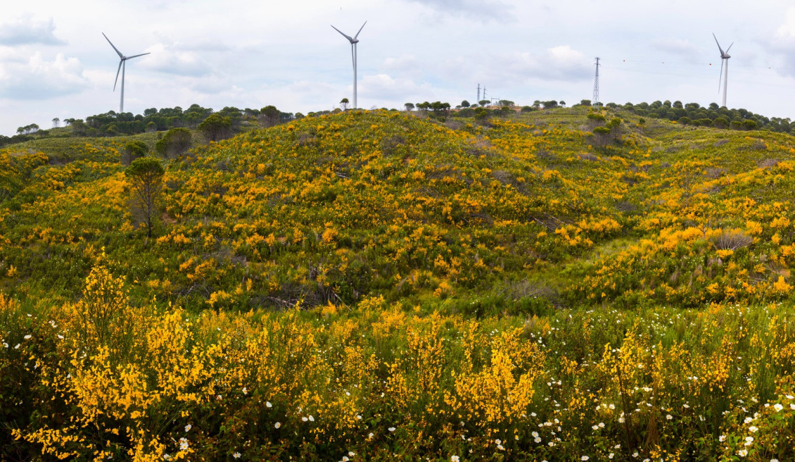 What's The All-Year Round Weather In The Algarve, Portugal?