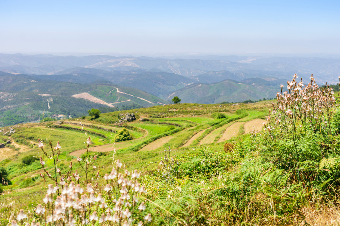 monchique-moutains-mount-foia-algarve-region-portugal