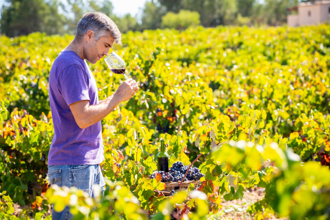 The Ultimate Guide to Wine Tourism in the Algarve