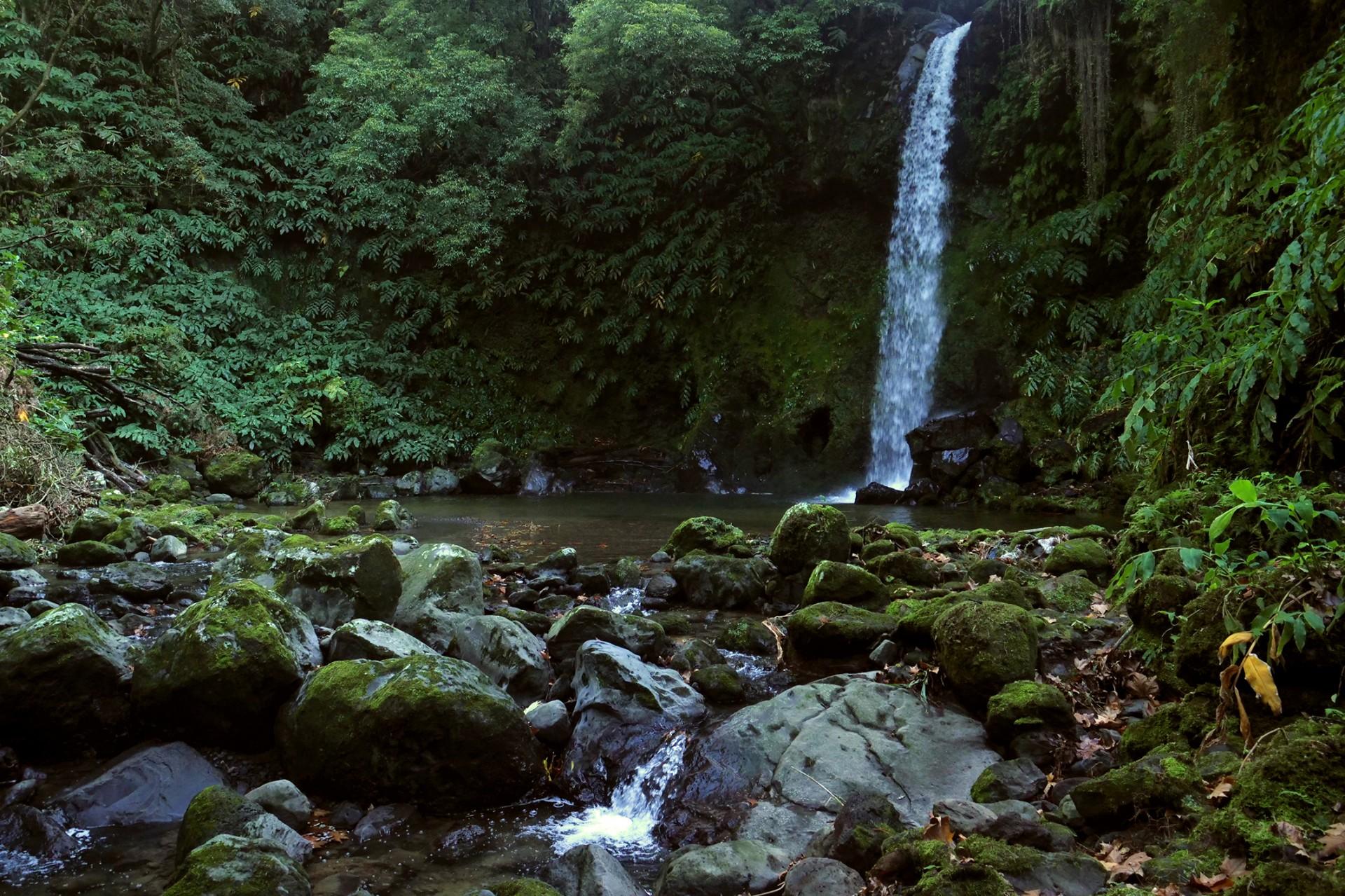 Walking Tours: Moinho do Félix - Full Day