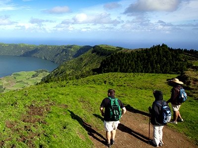 Observação de baleias e golfinhos - meio dia