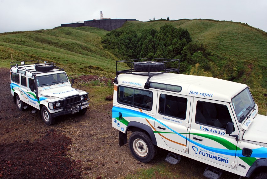 Observação de baleias e golfinhos - meio dia