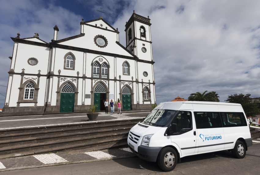 Observação de baleias e golfinhos - meio dia