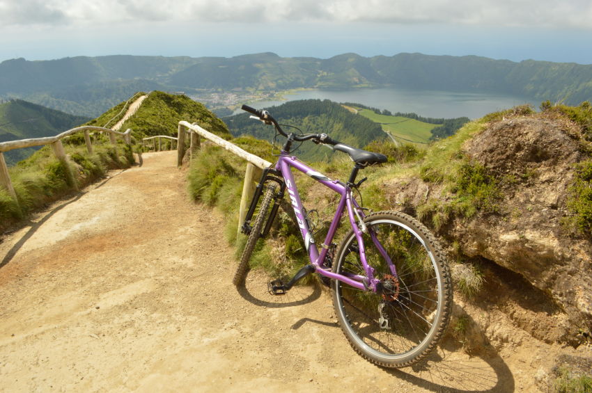 Observação de baleias e golfinhos - meio dia