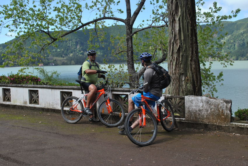 Observação de baleias e golfinhos - meio dia