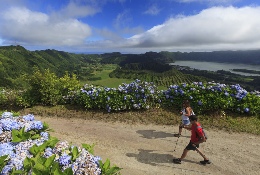 Observação de baleias e golfinhos - meio dia
