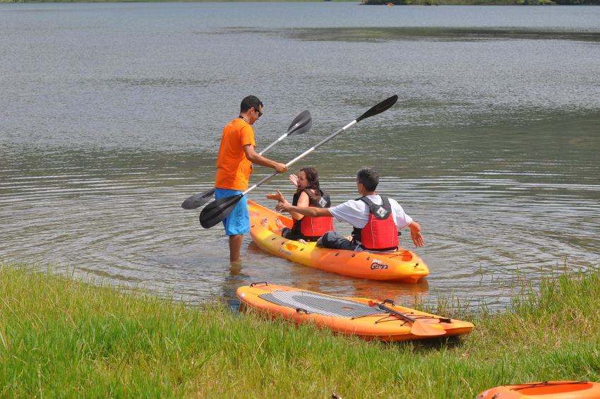 Observação de baleias e golfinhos - meio dia