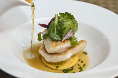 Observação de baleias e golfinhos - meio dia