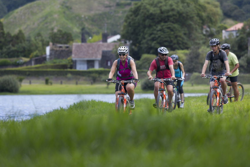 Observação de baleias e golfinhos - meio dia