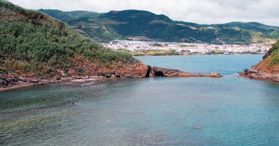 Observação de baleias e golfinhos: Meio Dia & Ilhéu de Vila Franca 