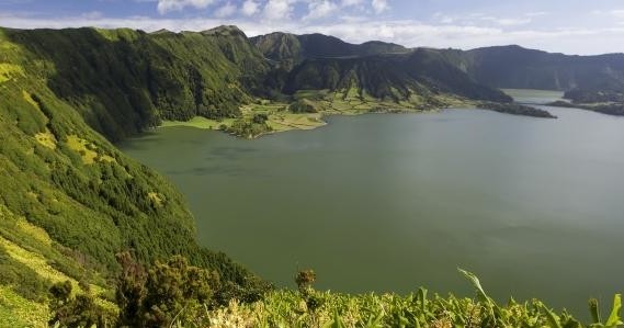 Observação de baleias e golfinhos: Meio Dia & Jeep Tour às Sete Cidades 