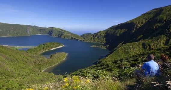 Observação de baleias e golfinhos: Meio Dia + Jeep Tour à Lagoa do Fogo